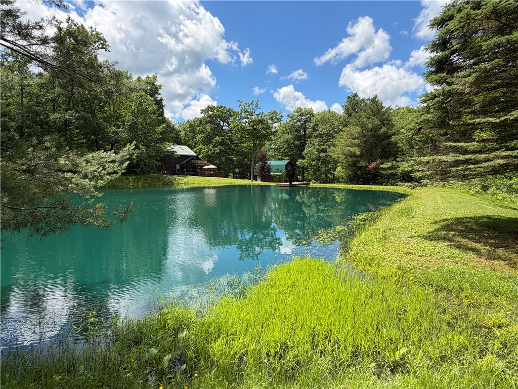 6891 Mt Monroe Road New Hudson, NY 14727 - Photo 4 of 50
