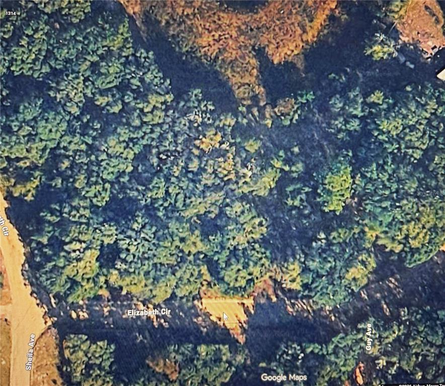 0 Elizabeth Ci Interlachen, FL 32148 - Photo 2 of 4