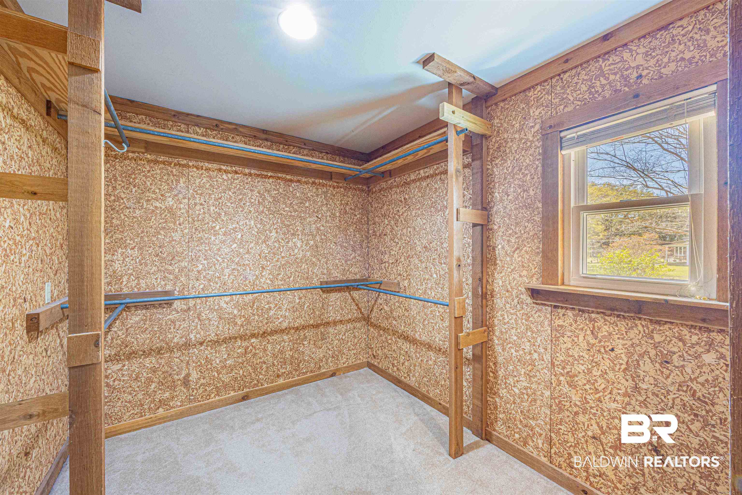 43101 Brown Road Bay Minette, AL 36507 - Photo 35 of 81 Walk in closet featuring light colored carpet