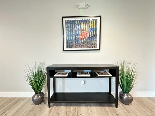 a view of kitchen with sink and potted plant