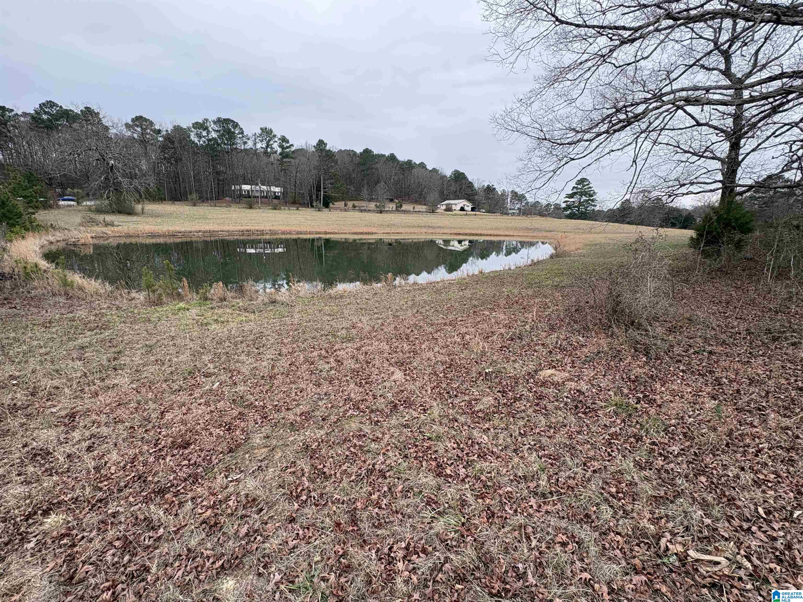 3349 Nail Road, Unit 40 6 ACRES / Warrior, AL 35180 - Photo 8 of 16