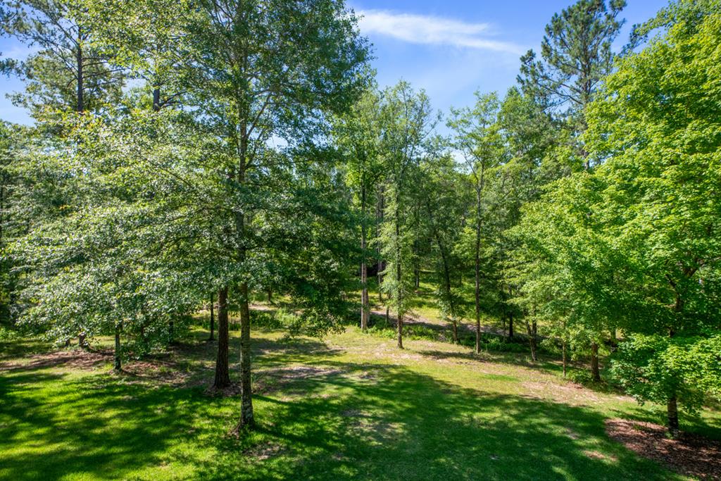 11196-11 County Line Road Midland, GA 31820 - Photo 44 of 52