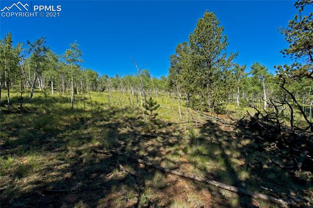 92 Old Squaw Road Como, CO 80432 - Photo 15 of 49 Gallery Image 15