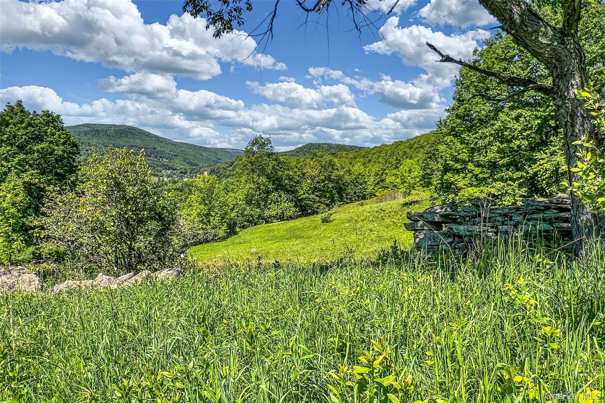 26 Federal Hill 2 Road Delhi, NY 13753 - Photo 29 of 50