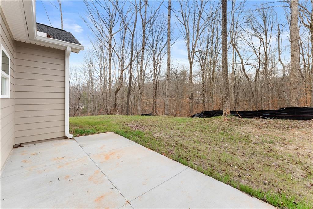 96 Hawk Ridge Court Cleveland, GA 30528 - Photo 31 of 31
