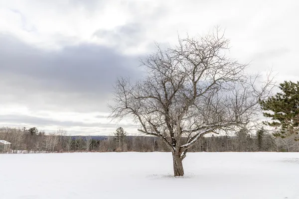 $479,000 | 66 Bailey Hill Road, Cambridge, ME 04923