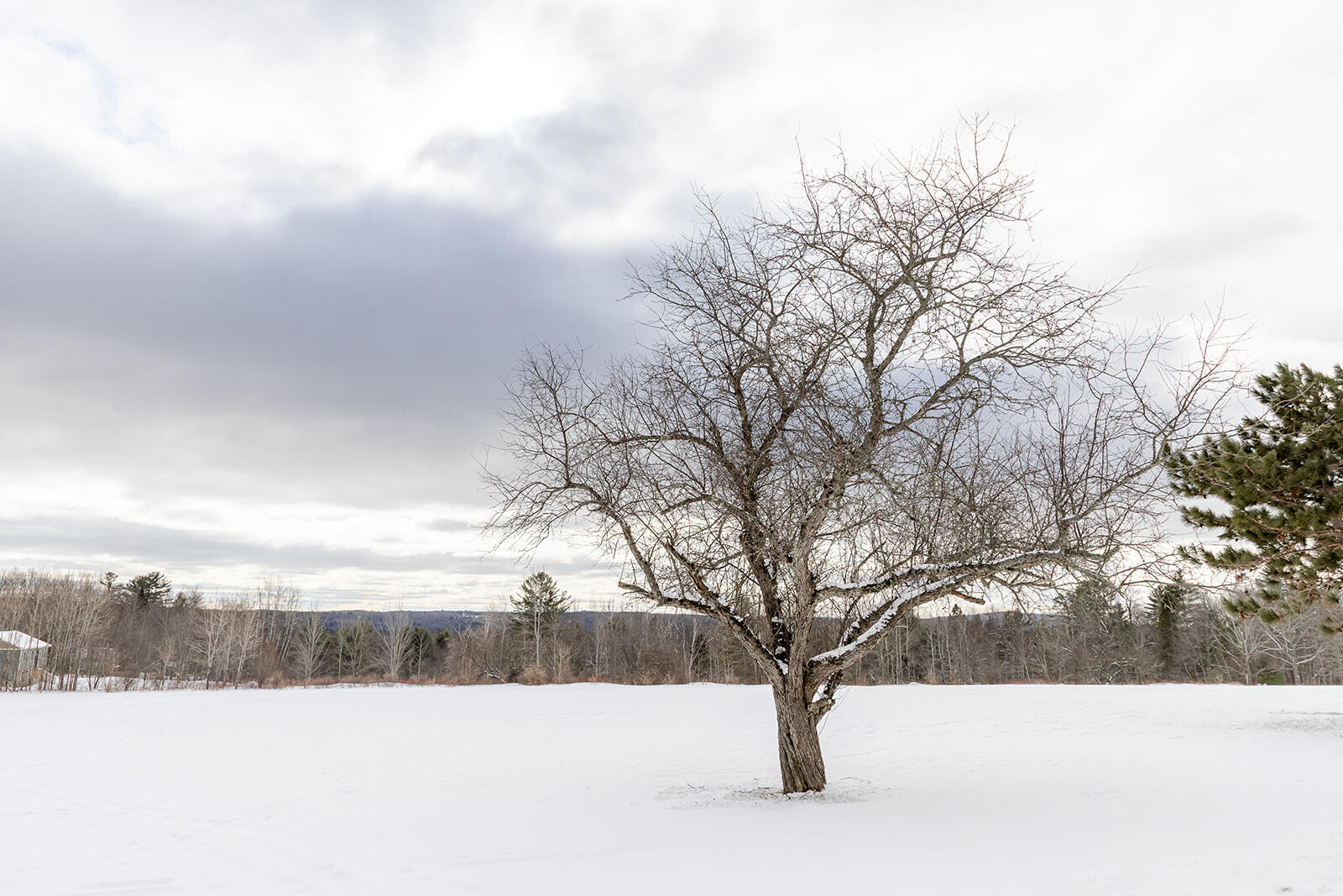 66 Bailey Hill Road Cambridge, ME 04923 - Photo 71 of 71 Mackenzie Nicole Photography-77