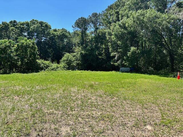 0 Berryhill Road Johns Island, SC 29455 - Photo 2 of 2 IMG_5424