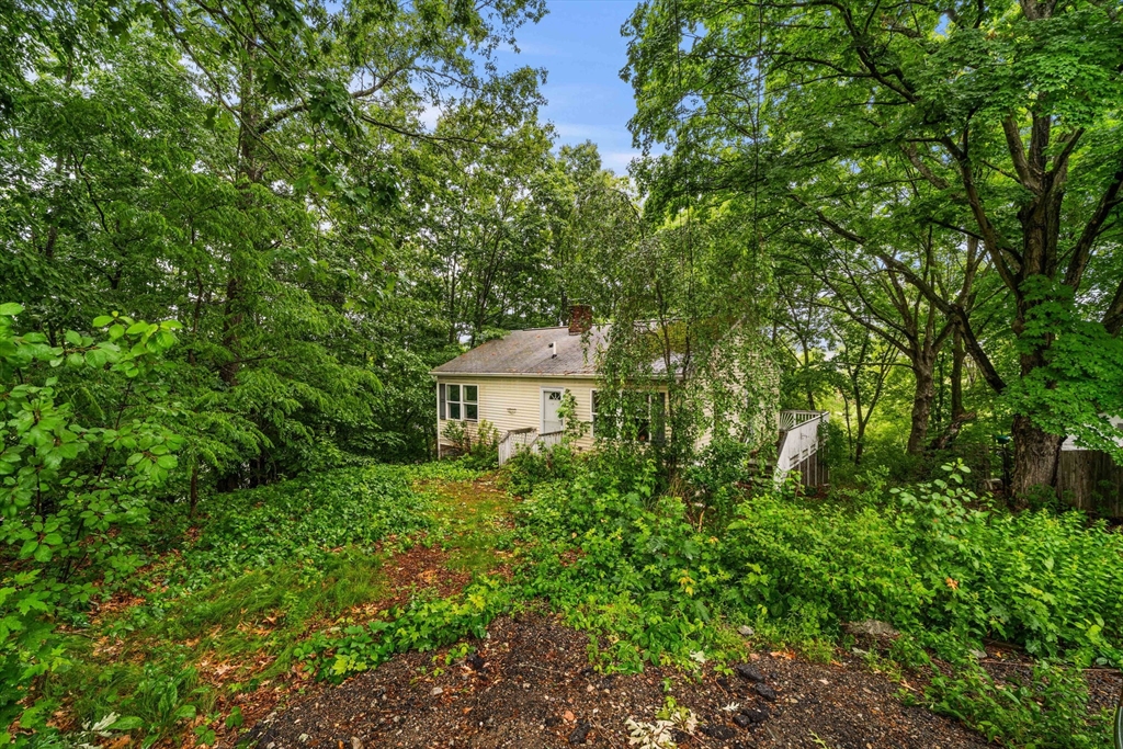 7 Upland Road Natick, MA 01760 - Photo 15 of 15 a view of a lush green field