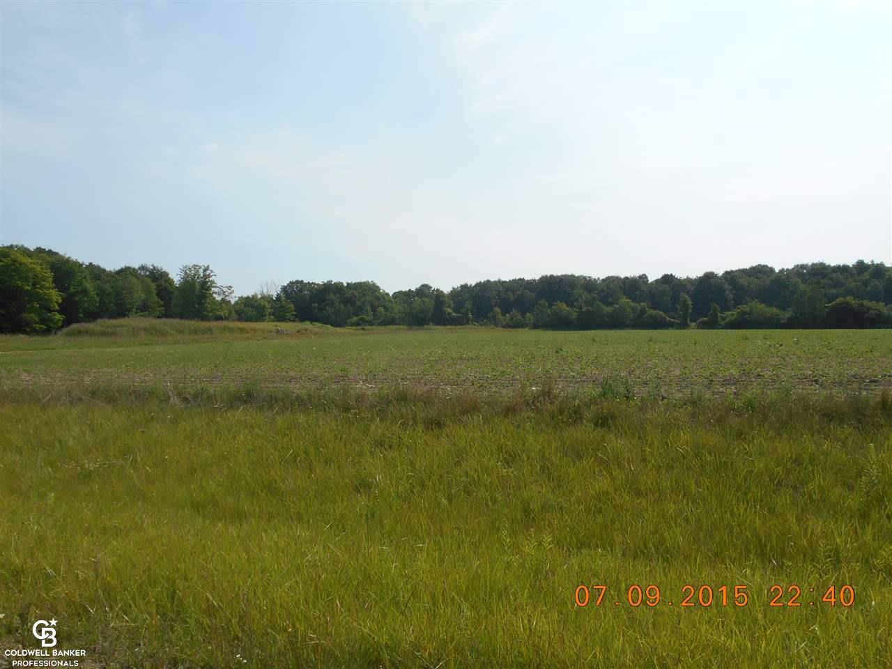0 Burrwood Road, Unit 9 Memphis, MI 48041 - Photo 2 of 5