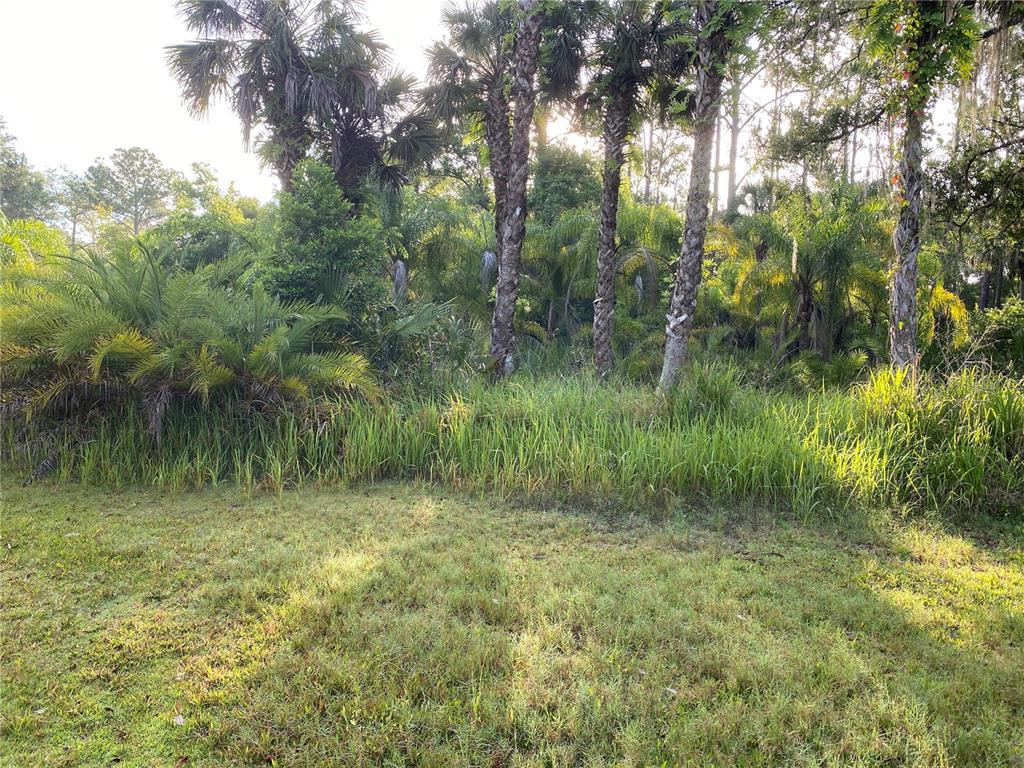 261 Racoon Trail Geneva, FL 32732 - Photo 1 of 1 Gallery Image 1