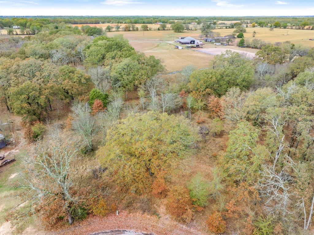 6374 Rd Alba Tx 75410 Road Alba, TX 75410 - Photo 4 of 8