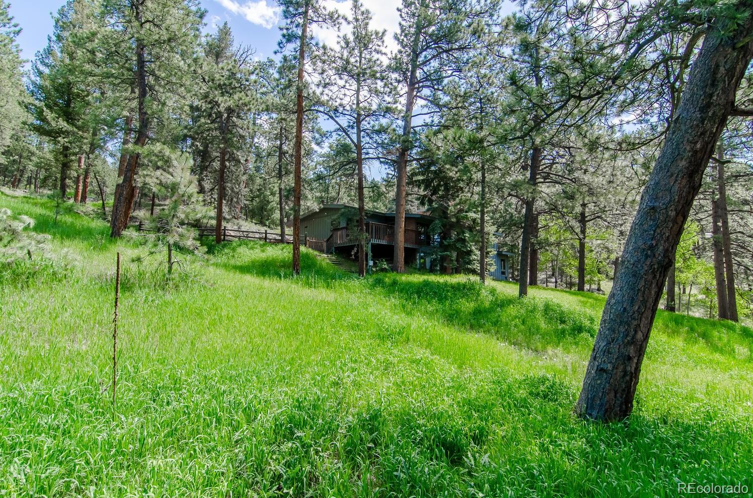 31463 Upper Bear Creek Road Evergreen, CO 80439 - Photo 2 of 23 a view of a garden with a tree