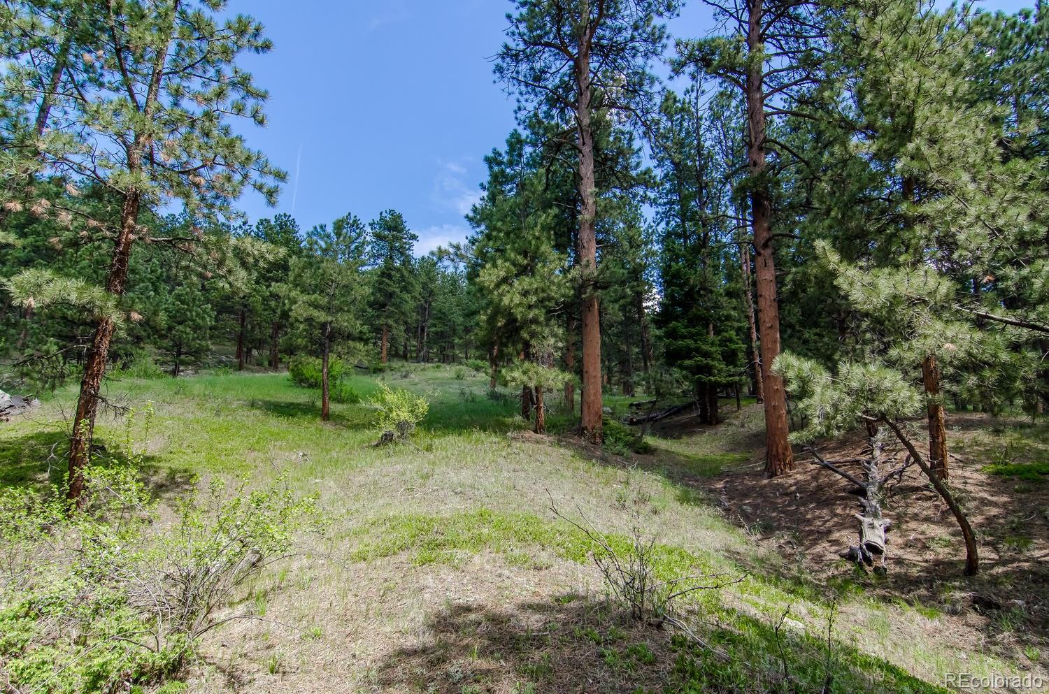 31463 Upper Bear Creek Road Evergreen, CO 80439 - Photo 3 of 23 a backyard of a house with lots of green space