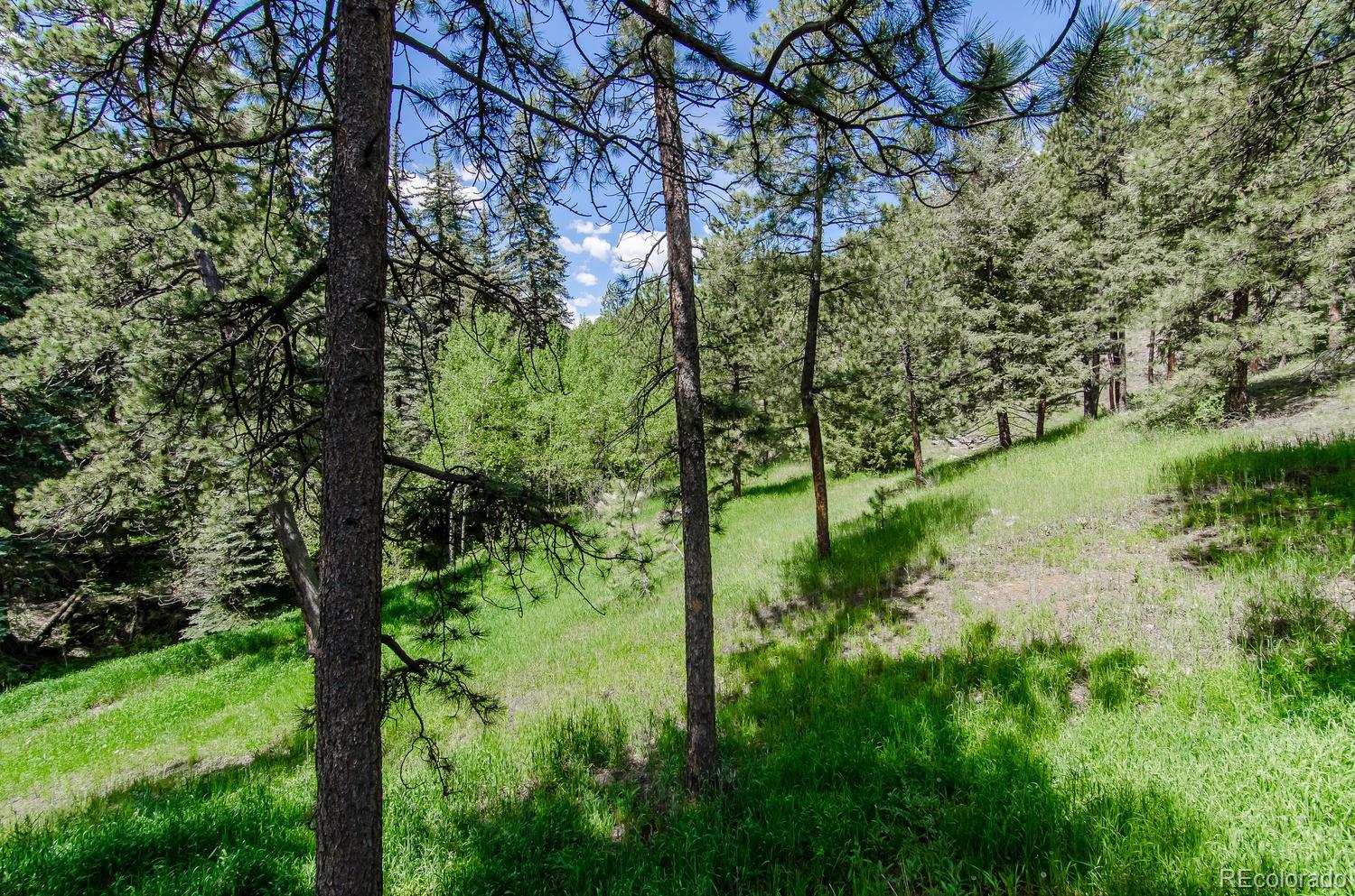 31463 Upper Bear Creek Road Evergreen, CO 80439 - Photo 4 of 23 a view of a garden