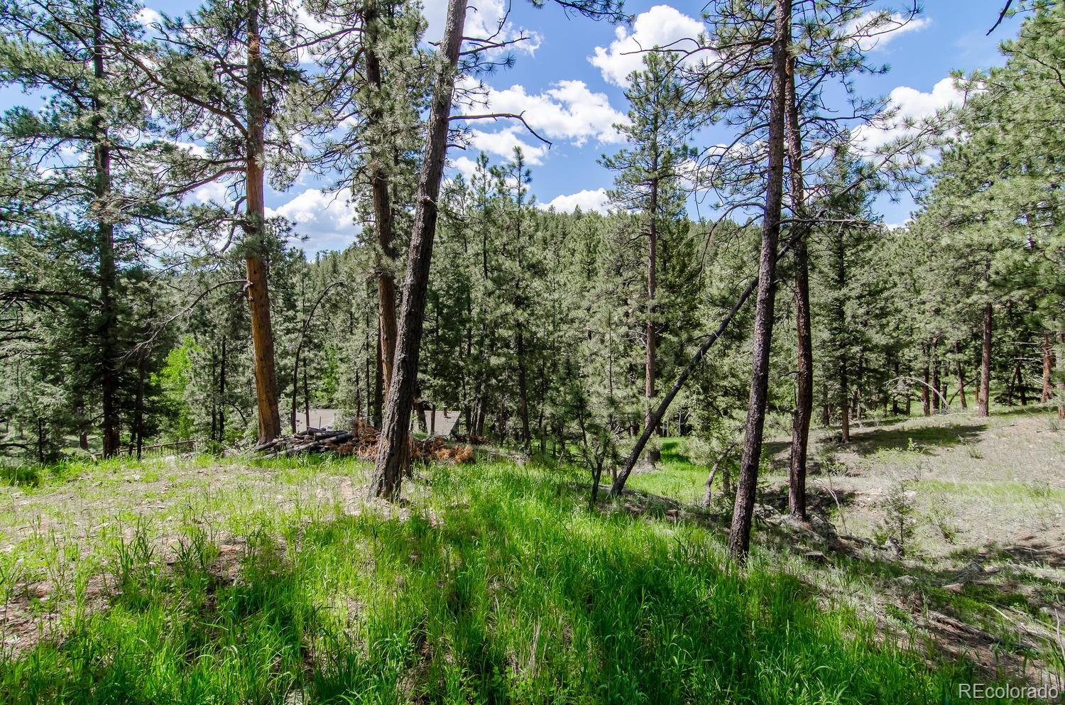 31463 Upper Bear Creek Road Evergreen, CO 80439 - Photo 5 of 23