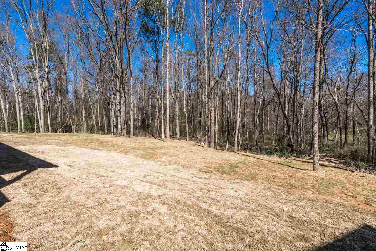 216 Donemere Way Fountain Inn, SC 29644 - Photo 30 of 32 Large back yard backs up to undeveloped private property.