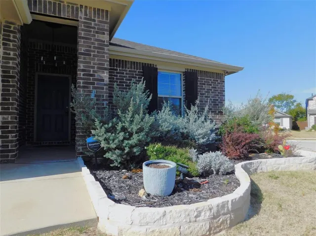 a view of a house with potted plants