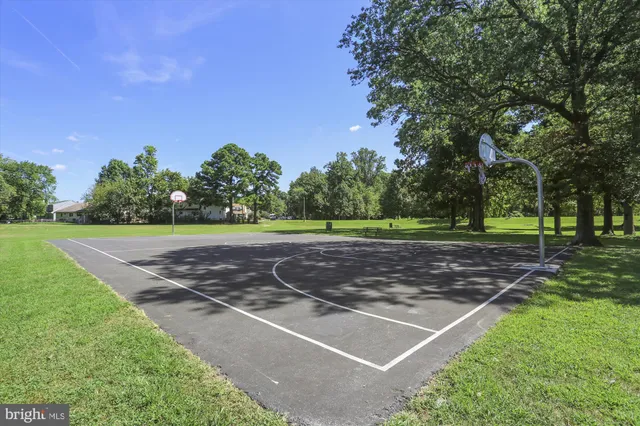 a view of a park with large trees