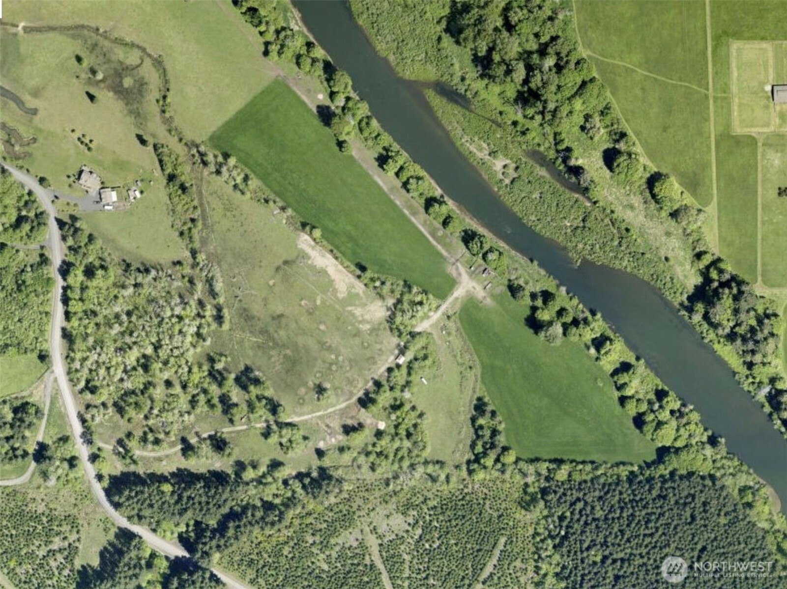 a view of a garden with plants