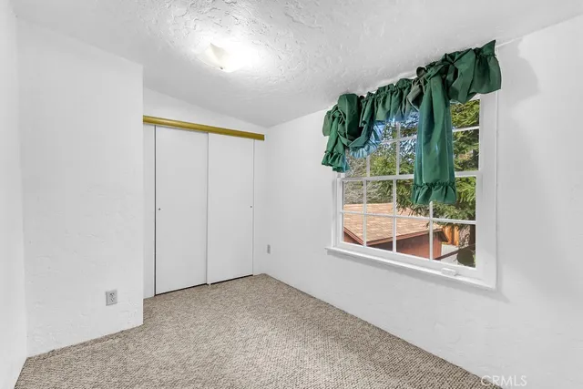 an empty room with a window and palm tree