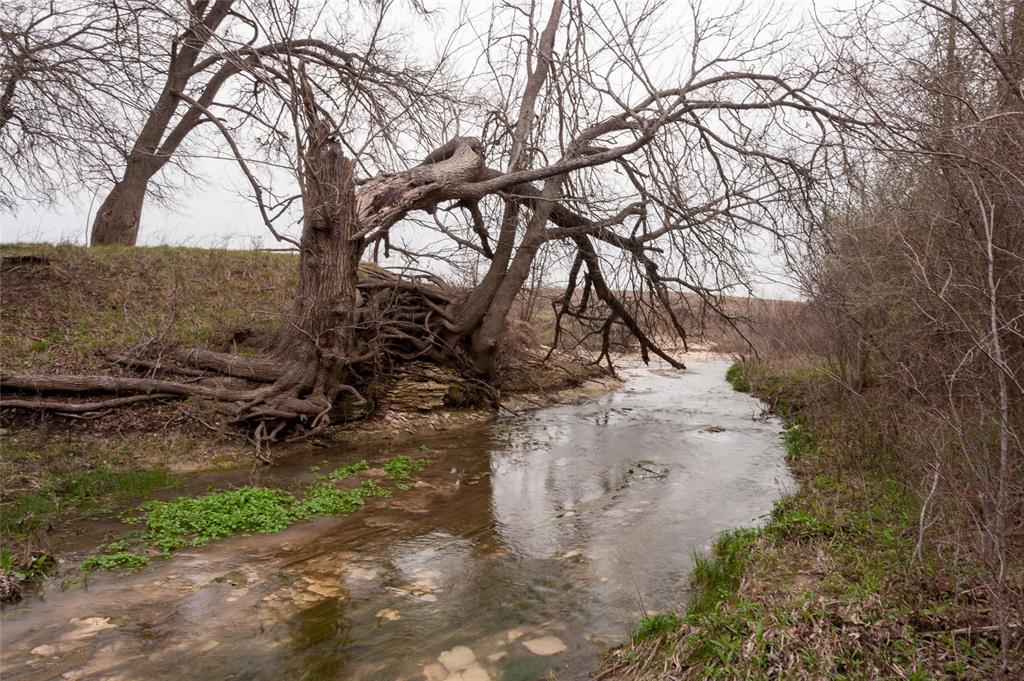 Tbd52 Dunaway Road Waxahachie, TX 75167 - Photo 2 of 8 View of road