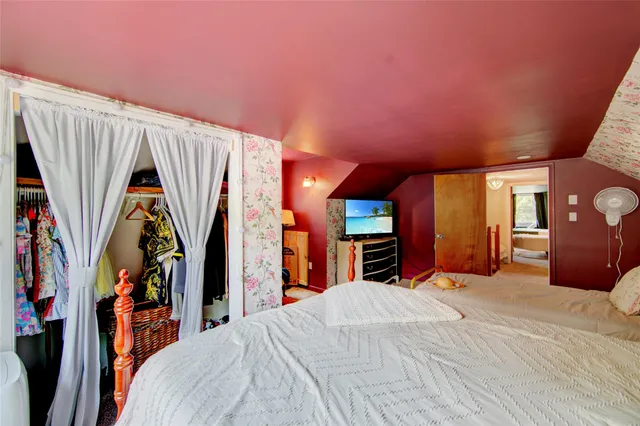 a bed room with a bed and a walk in closet