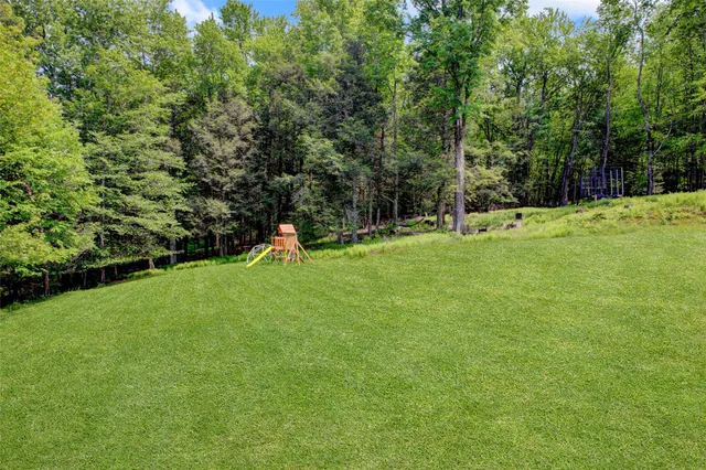 a view of a park with large trees
