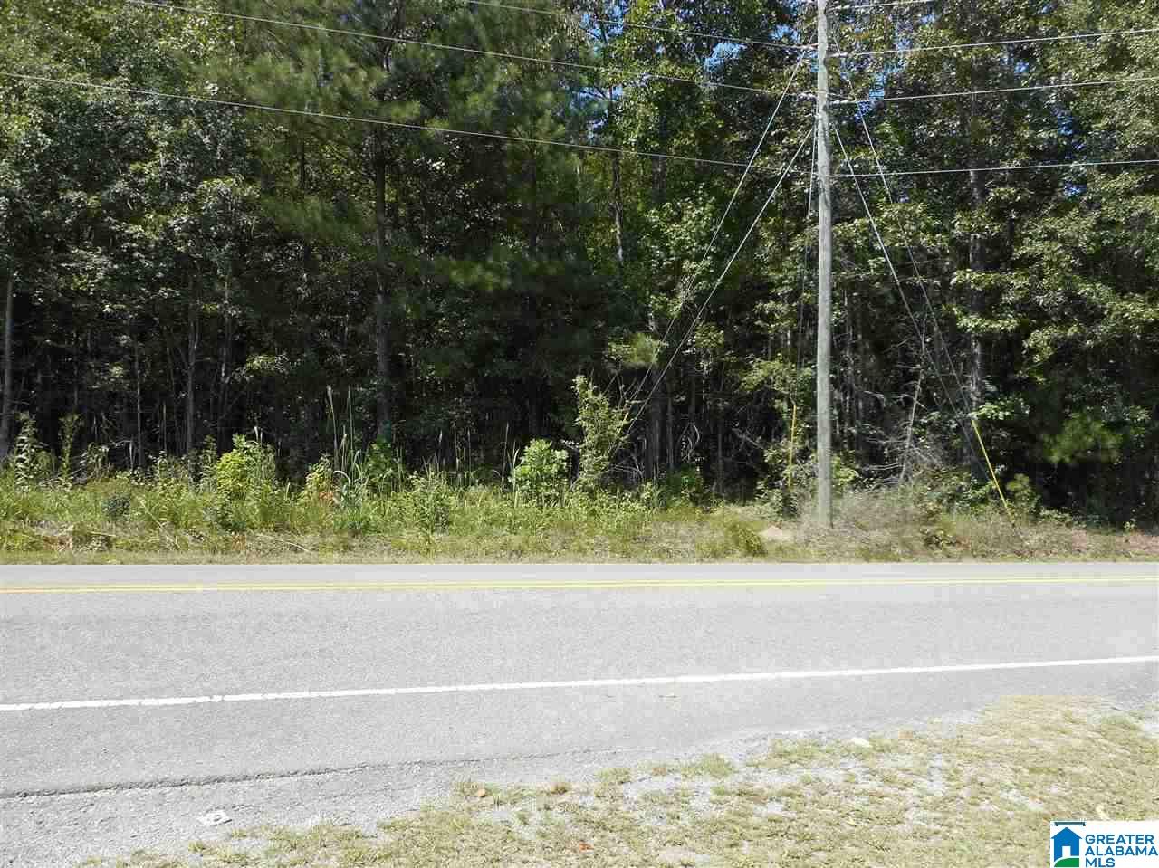 3957 Pleasant Valley Road, Unit 13 ACRES Odenville, AL 35120 - Photo 1 of 5