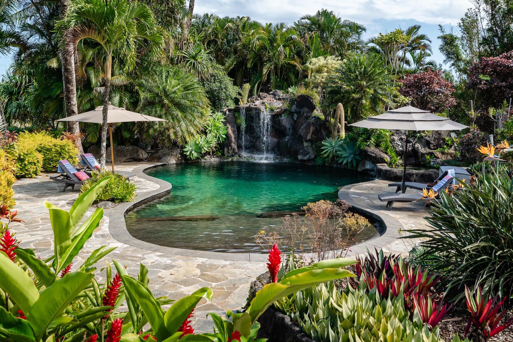 a view of a garden with a bench in a garden