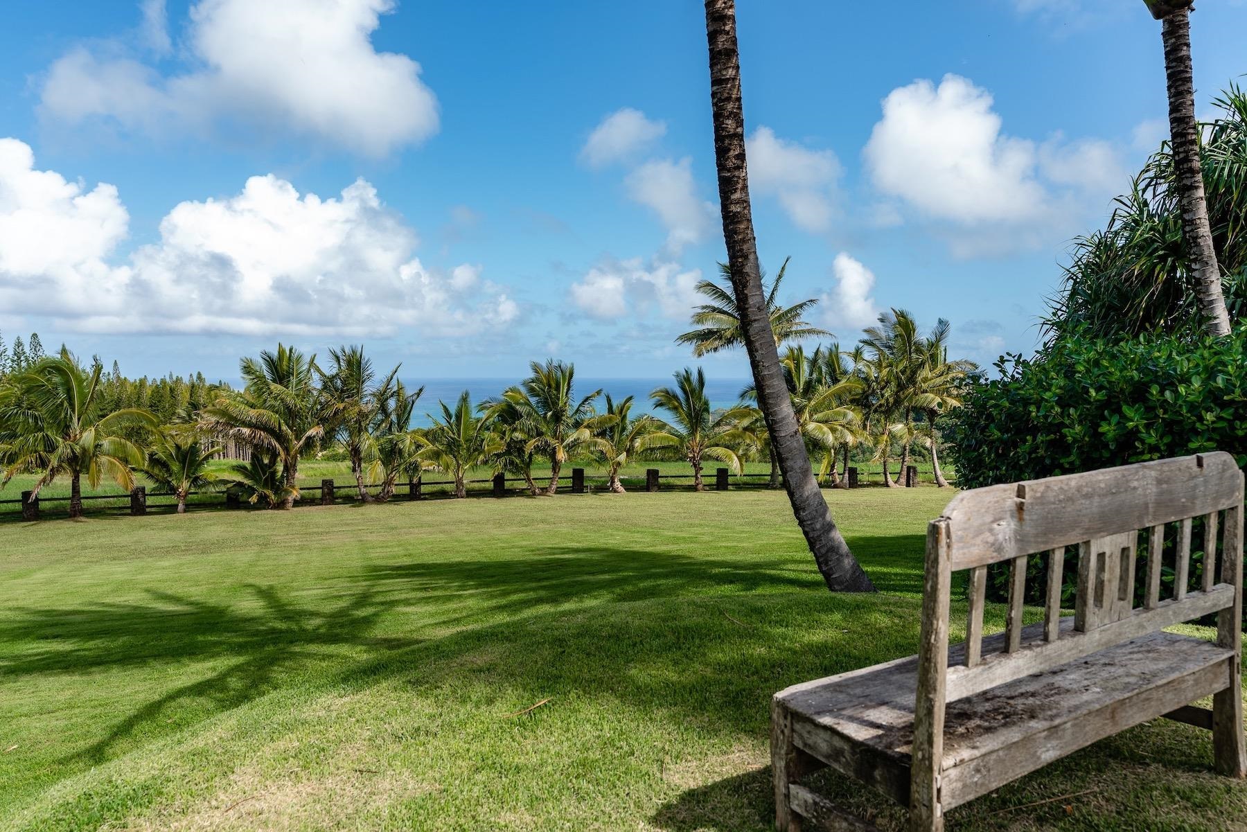 110 Mehana Road Haiku, HI 96708 - Photo 12 of 30 a view of a house with a backyard