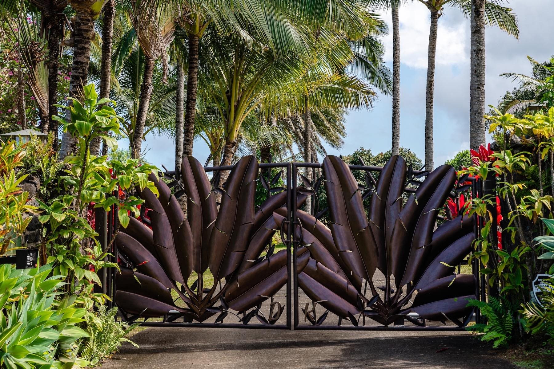 110 Mehana Road Haiku, HI 96708 - Photo 14 of 30 a view of a palm tree with flower plants