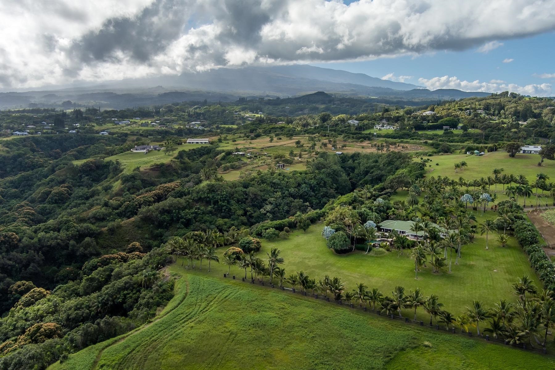 110 Mehana Road Haiku, HI 96708 - Photo 27 of 30 an aerial view of residential houses with outdoor space and trees