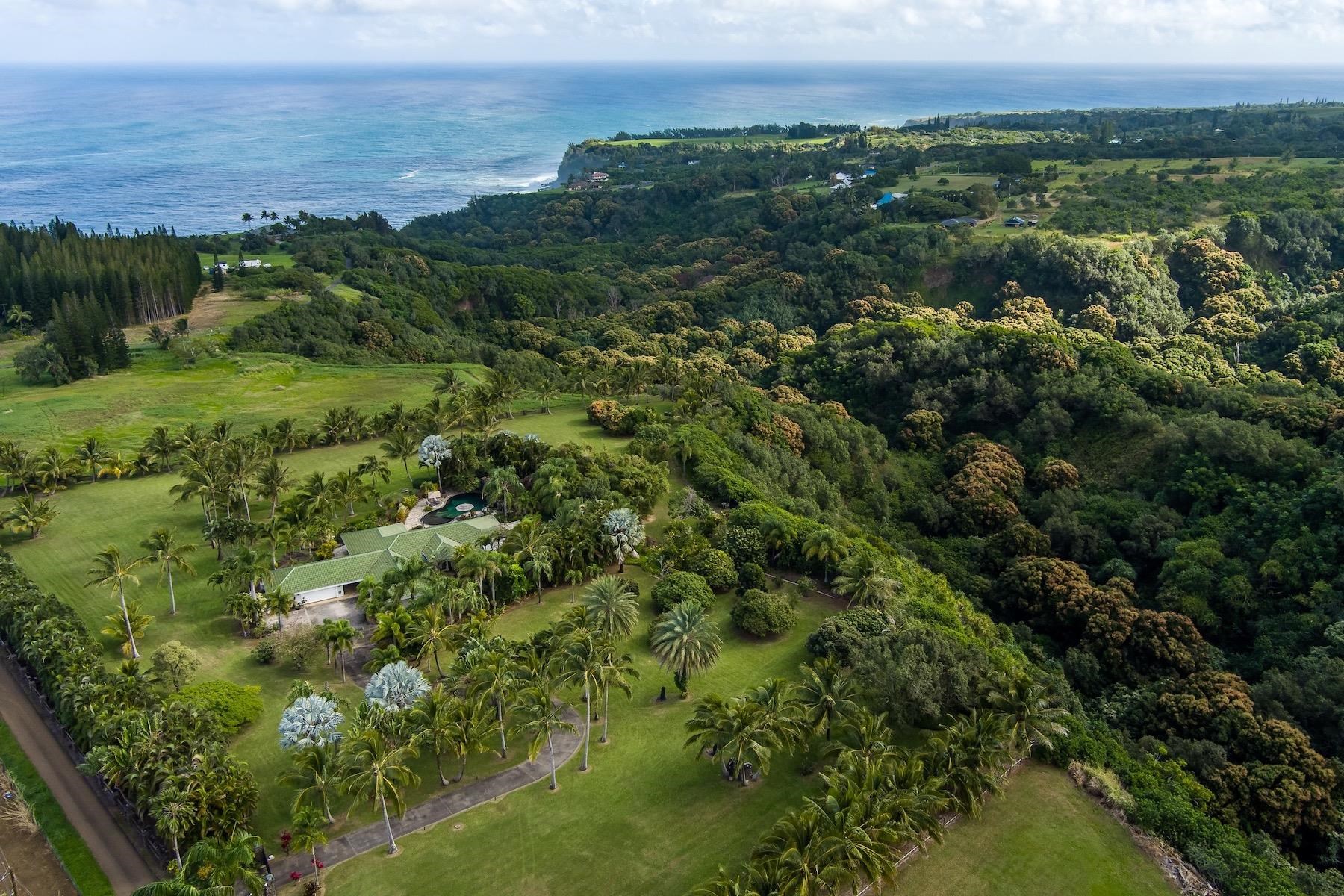 110 Mehana Road Haiku, HI 96708 - Photo 28 of 30 an aerial view of a houses with a lush green hillside
