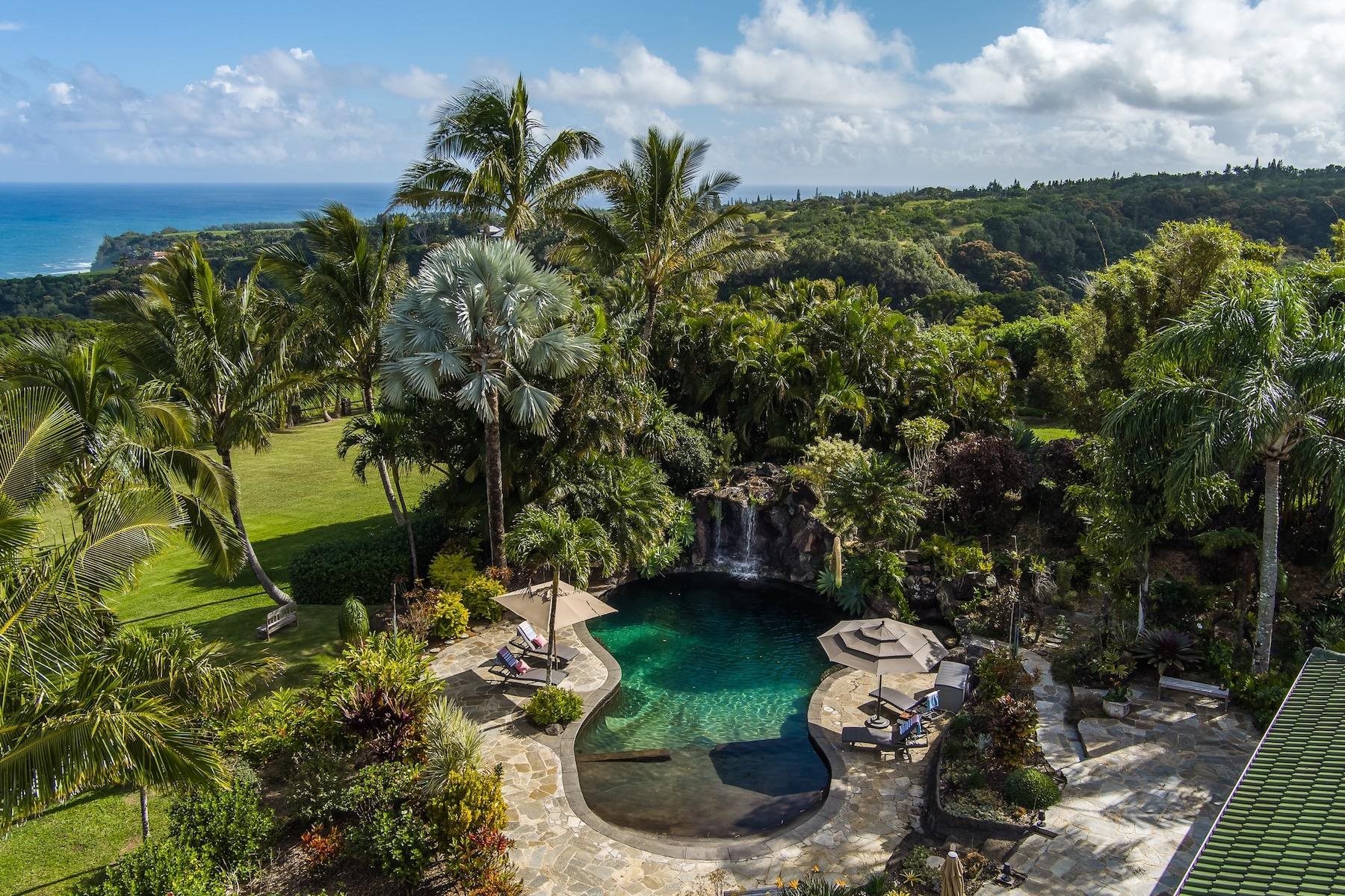 110 Mehana Road Haiku, HI 96708 - Photo 3 of 30 a view of a garden with a fountain