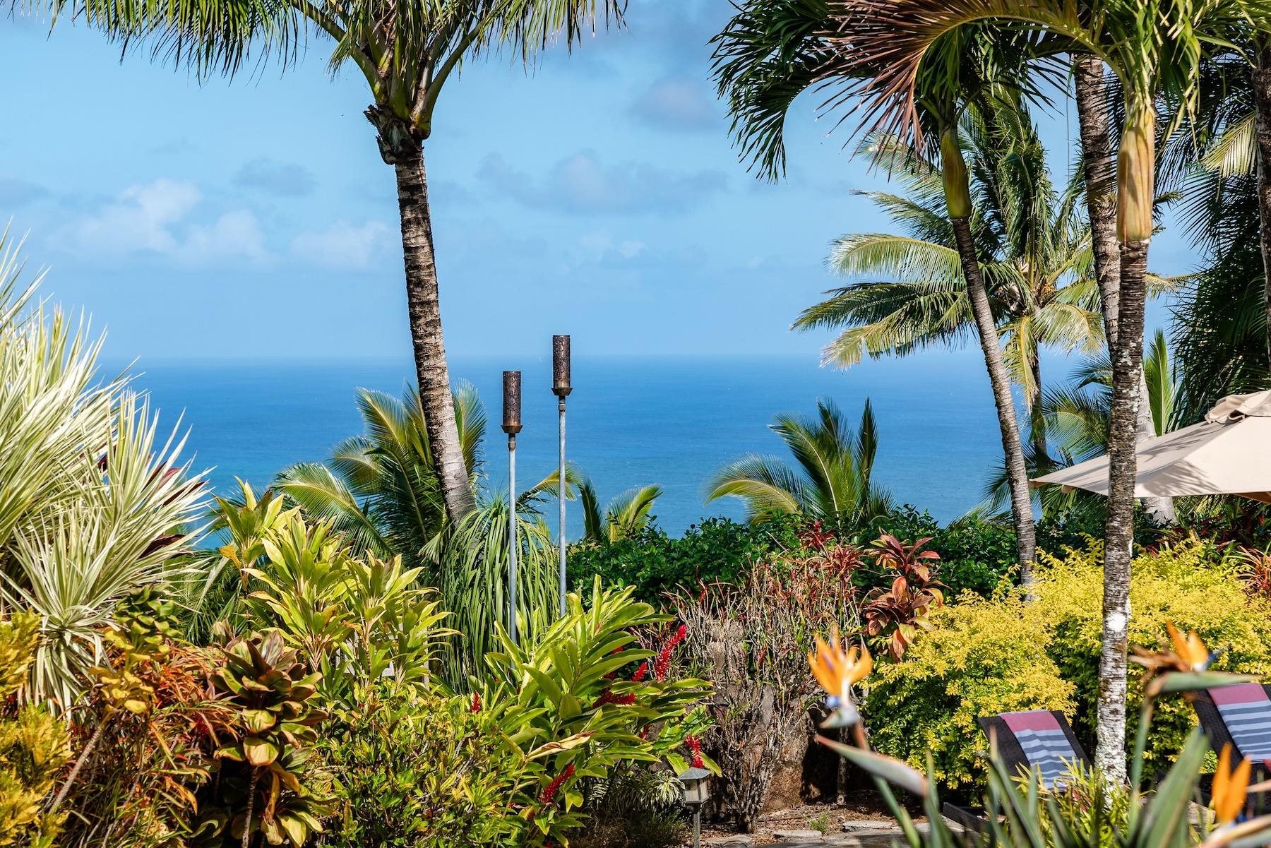 110 Mehana Road Haiku, HI 96708 - Photo 4 of 30 a view of a yard with a palm tree