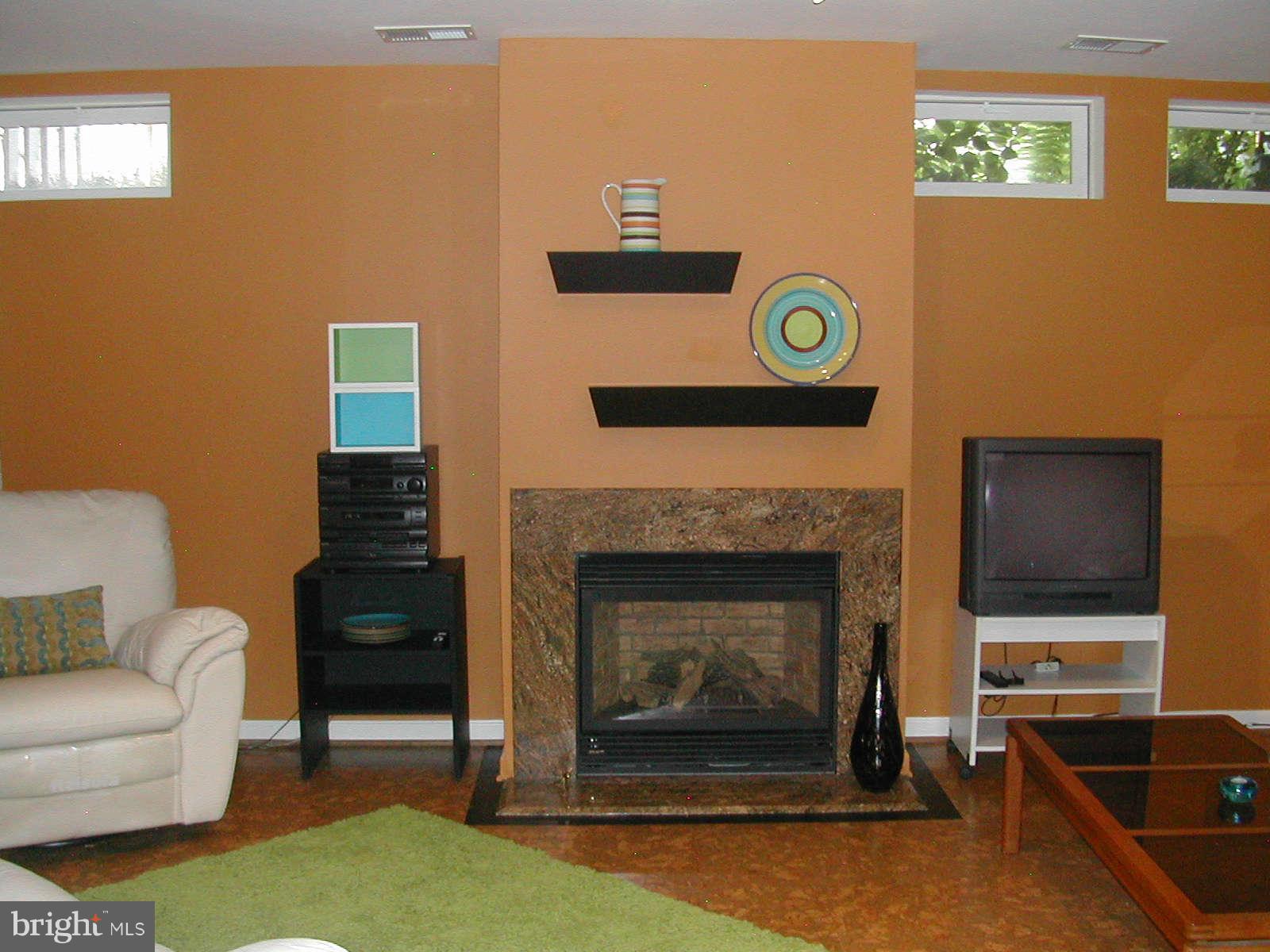 13944 Lullaby Road Germantown, MD 20874 - Photo 14 of 15 Basement
