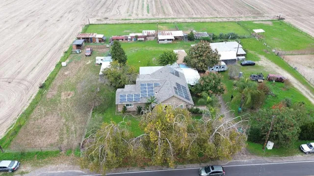 a view of a garden with plants