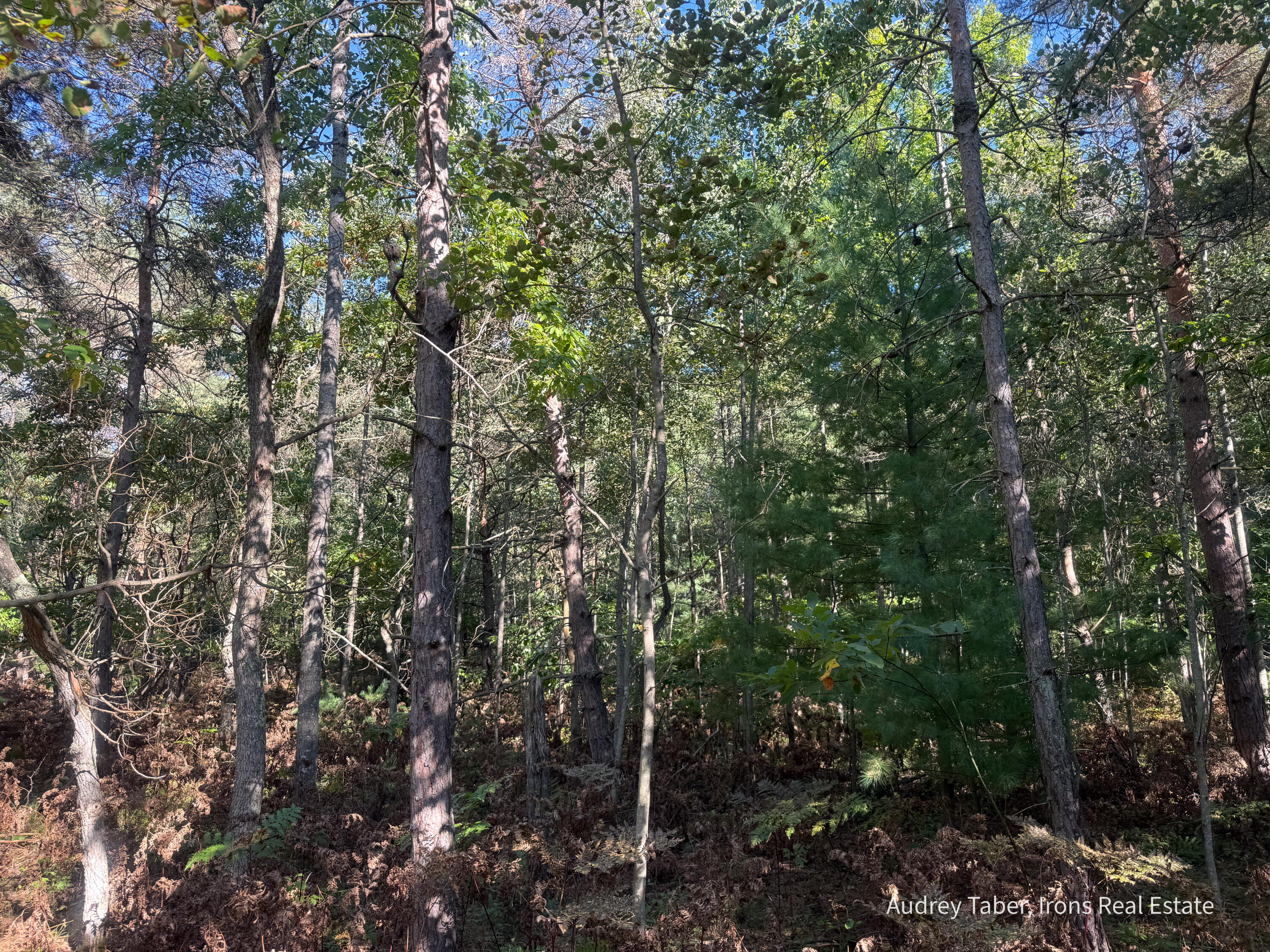 4 Clements Road Kaleva, MI 49645 - Photo 12 of 29 ClementsRd-175