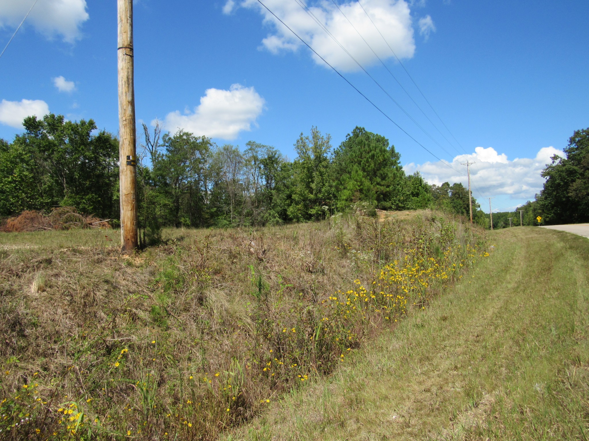2 Birdsong Road North Holladay, TN 38341 - Photo 7 of 11 a view of a lake view
