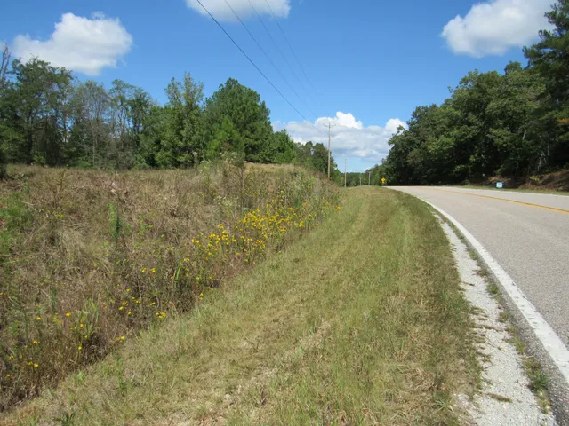a view of a yard with a tree
