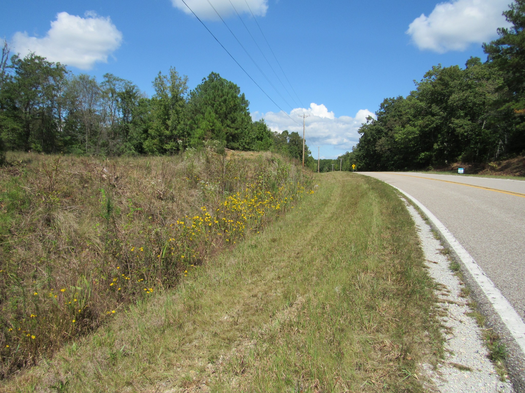 2 Birdsong Road North Holladay, TN 38341 - Photo 9 of 11 a view of a yard with a tree