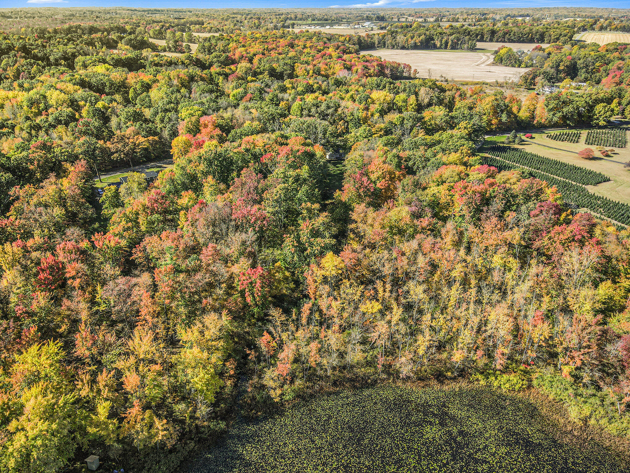 31730 Brandywine Road Gobles, MI 49055 - Photo 28 of 32 030_dji_0783_370