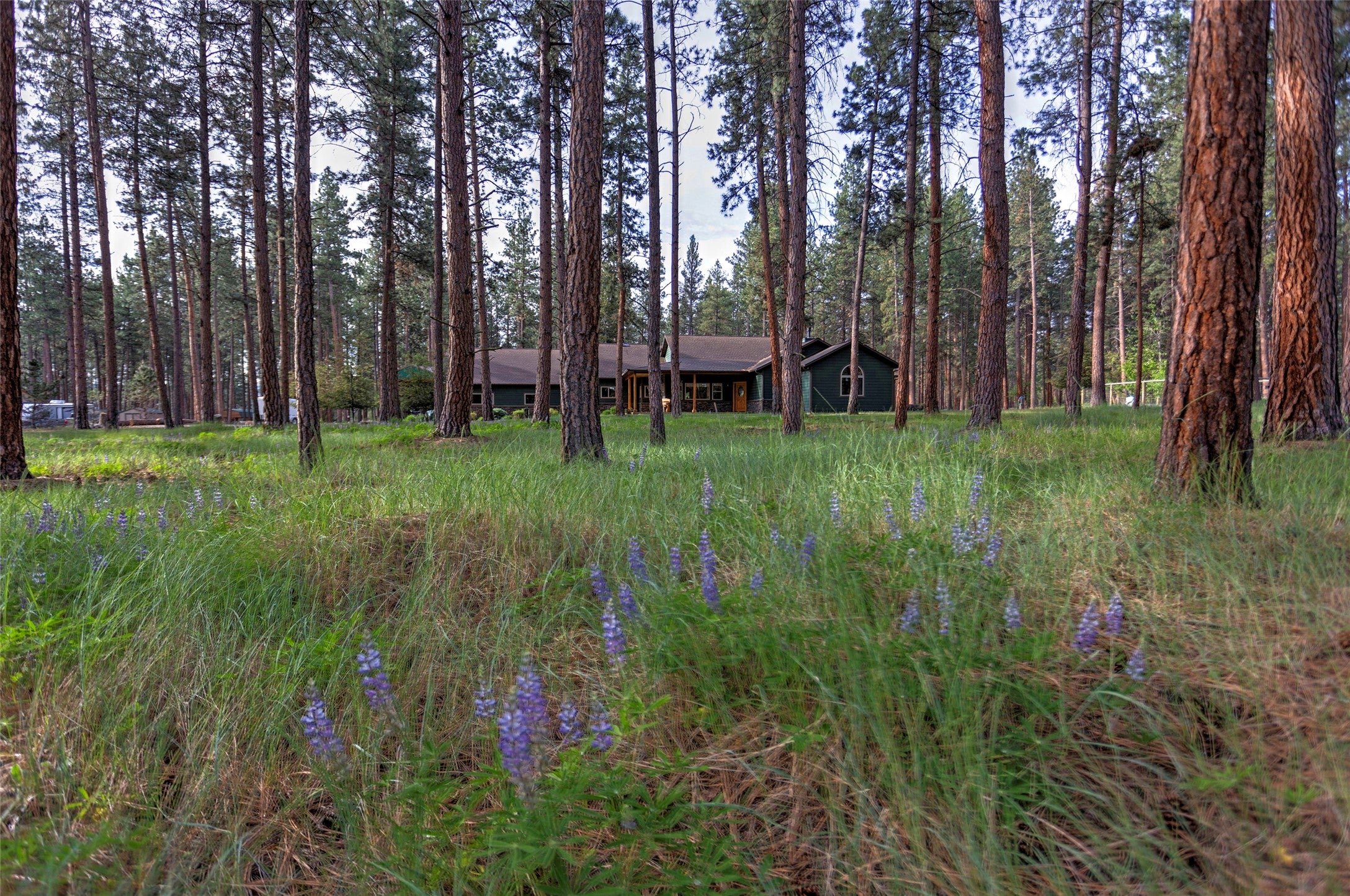 123 Mountain Goat Road Hamilton, MT 59840 - Photo 3 of 92 Gallery Image 3