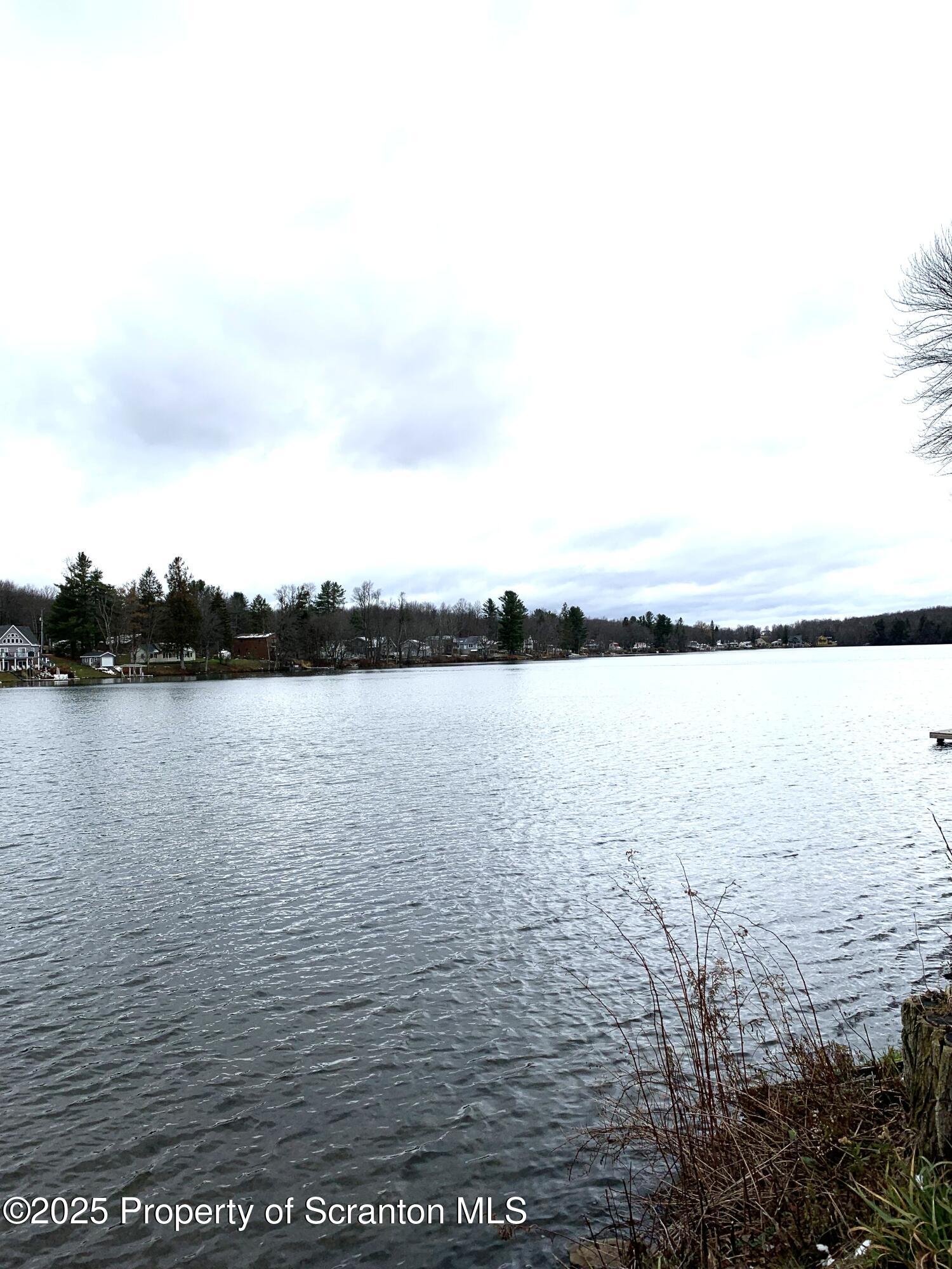 335 South Shore Drive Thompson, PA 18465 - Photo 6 of 15