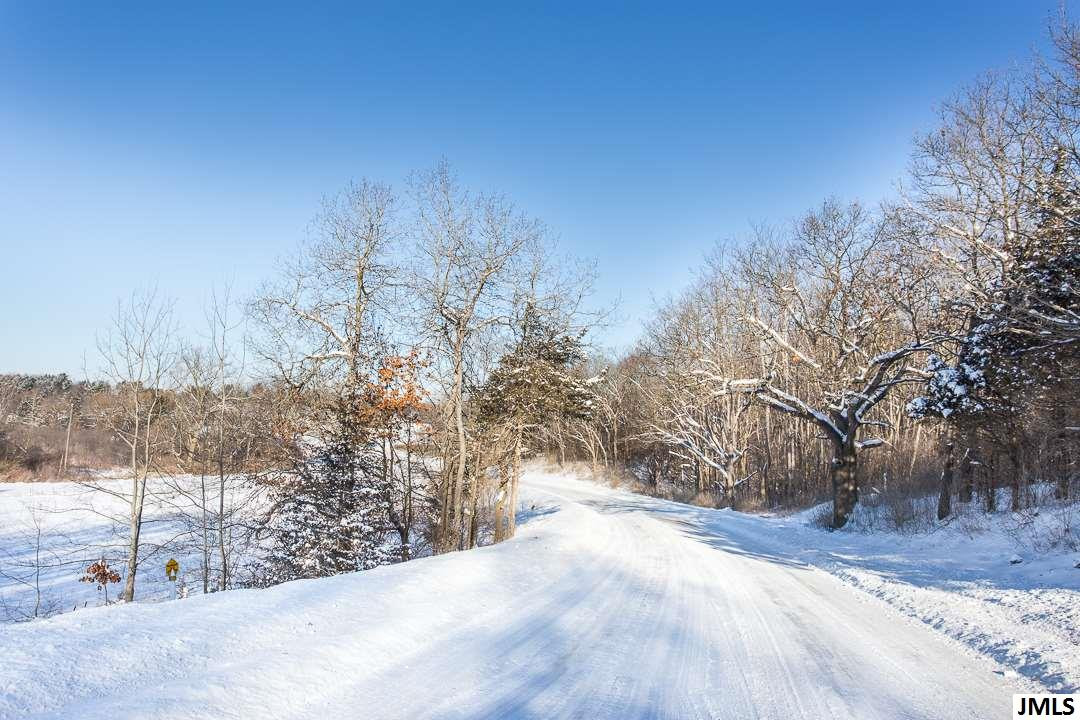 Vl Blue Ridge Road Clarklake, MI 49234 - Photo 5 of 32 Photo 5