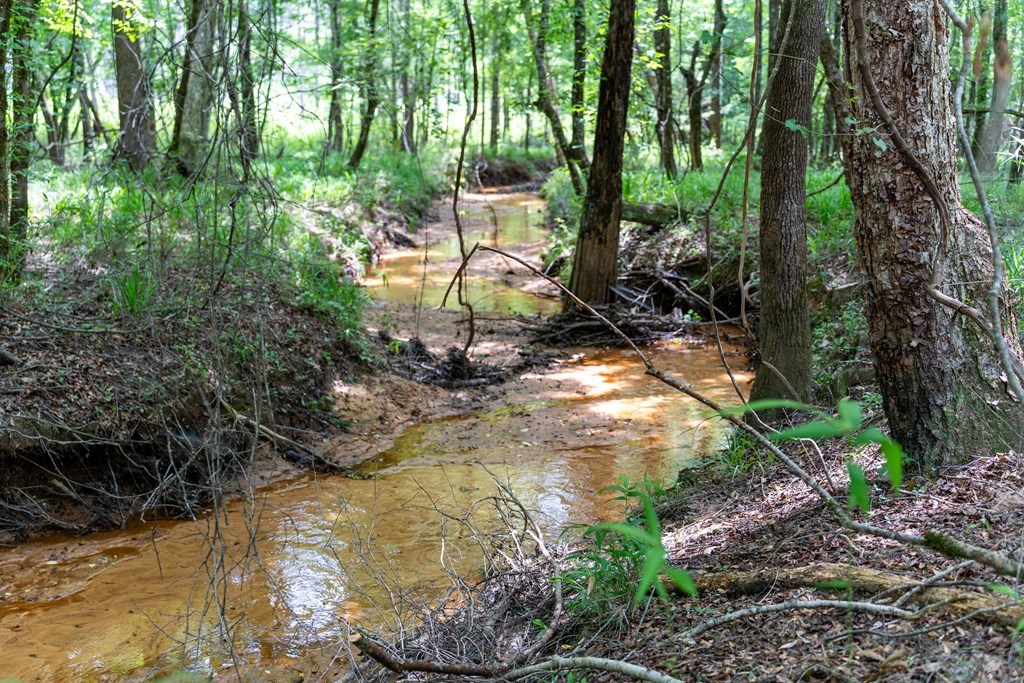 3 Comers Pond Road Pittsview, AL 36871 - Photo 11 of 51