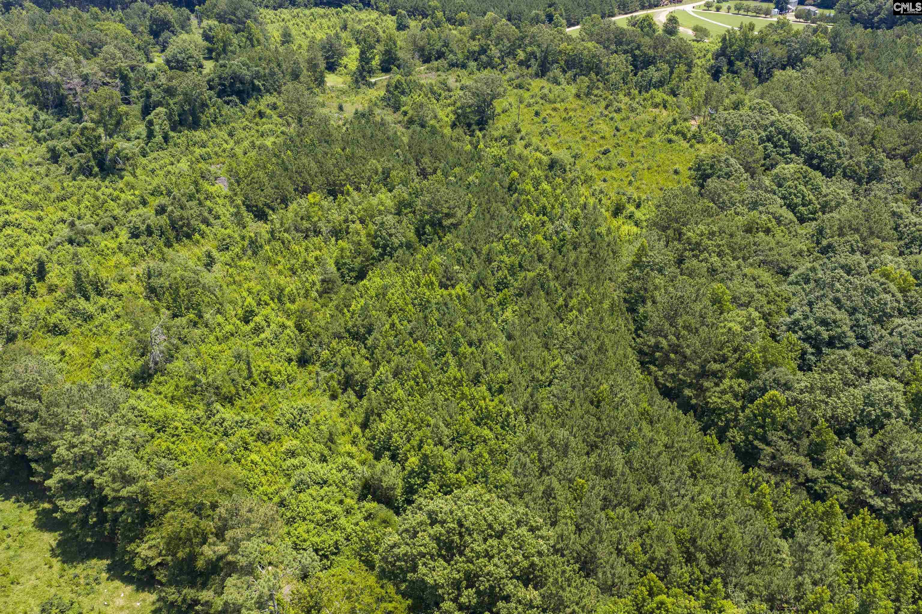 Stevens Road Saluda, SC 29138 - Photo 20 of 23