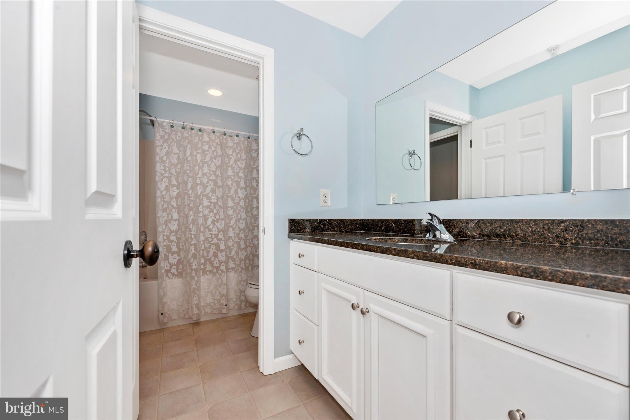 6216 Mt Phillip Road Frederick, MD 21703 - Photo 42 of 58 Hall Bathroom