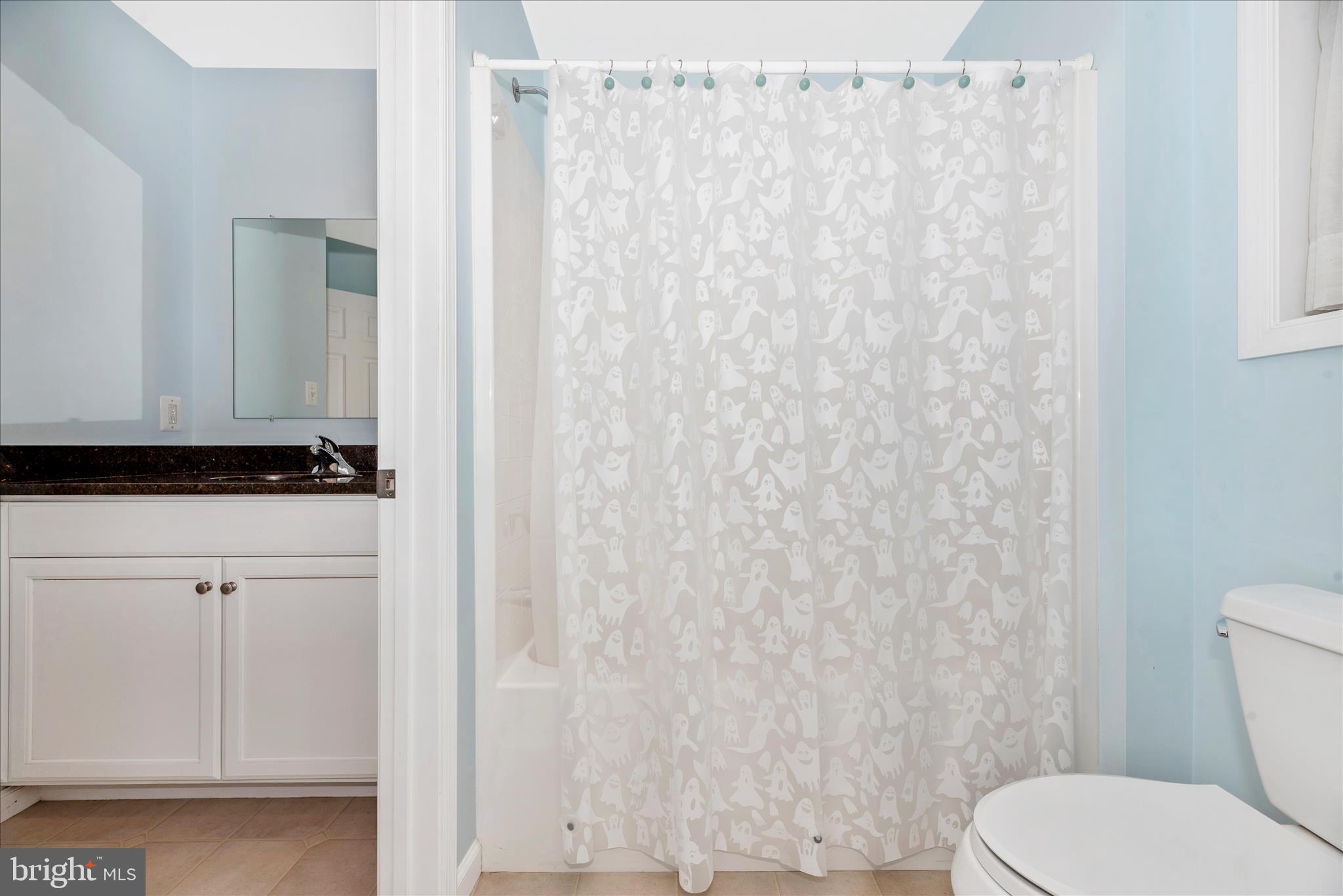 6216 Mt Phillip Road Frederick, MD 21703 - Photo 43 of 58 Hall Bathroom